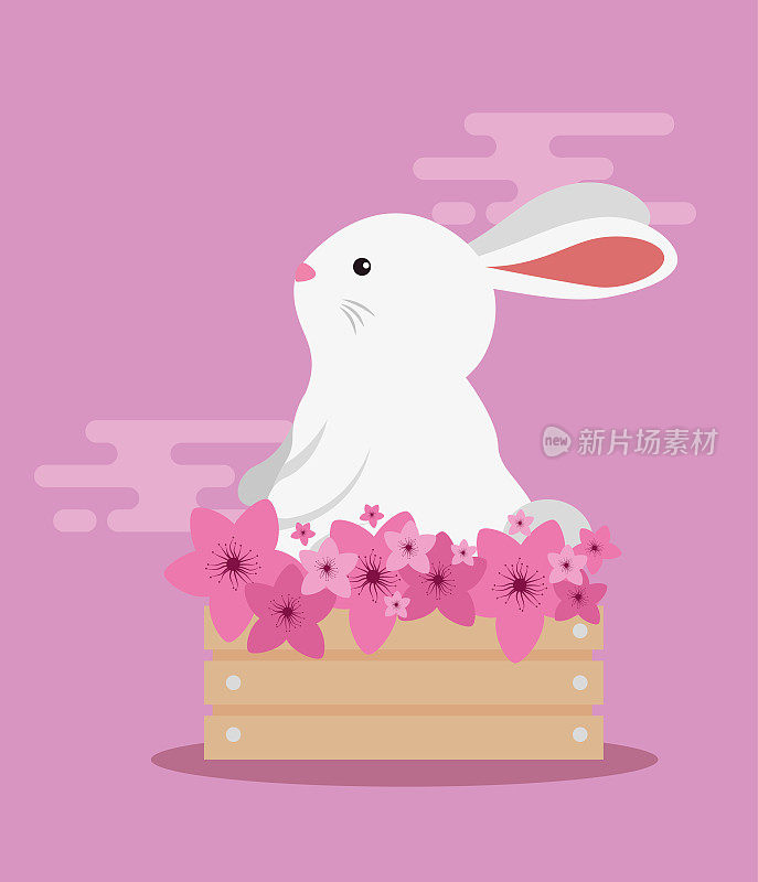 rabbit animal in the wood basket with flowers decoration